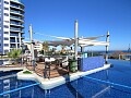 Apartamento de lujo de ALQUILER con 2 dormitorios frente al mar en Punta Prima * in Ole International