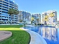 Apartamento de lujo de ALQUILER con 2 dormitorios frente al mar en Punta Prima * in Ole International