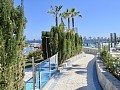 Apartment in Punta Prima - Rental in Ole International