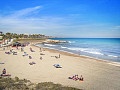 Appartements de luxe de 3 chambres à côté de la mer à Playa Flamenca in Ole International